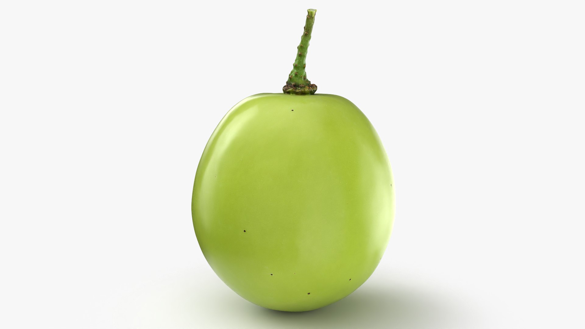 Green Grape 02 - 3D Scanned model https://p.turbosquid.com/ts-thumb/vh/kud91p/Sf/grapegreen02_0002/png/1781682533/1920x1080/fit_q87/39cbee3405fed074913514d5781cd4a5a8ae211d/grapegreen02_0002.jpg