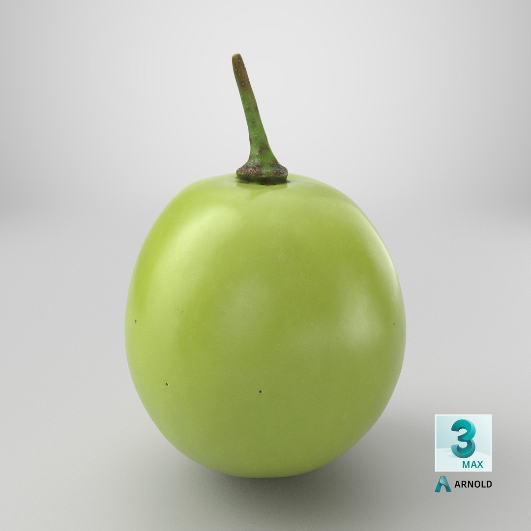 Green Grape 02 - 3D Scanned model https://p.turbosquid.com/ts-thumb/vh/kud91p/UR/stemcell_max_arnold_render/png/1782395399/1920x1080/fit_q87/a8c1bac77e4829f552736fe7ffa8e9a02144059f/stemcell_max_arnold_render.jpg