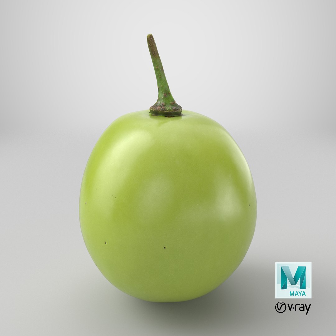 Green Grape 02 - 3D Scanned model https://p.turbosquid.com/ts-thumb/vh/kud91p/bg/stemcell_maya_vray_render/png/1782395391/1920x1080/fit_q87/128842f89a53244c9c4a42539d45662958326c67/stemcell_maya_vray_render.jpg