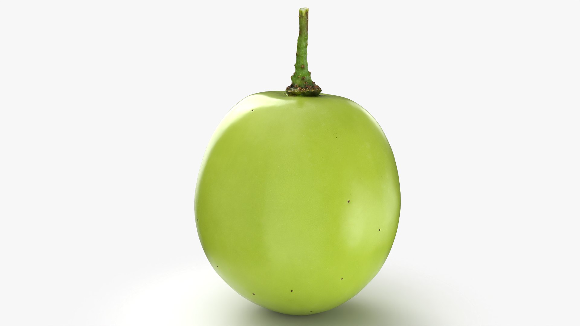 Green Grape 02 - 3D Scanned model https://p.turbosquid.com/ts-thumb/vh/kud91p/dR/grapegreen02_0004/png/1781682537/1920x1080/fit_q87/d649bfdee3157f1ce4e754f901006ff553d691d4/grapegreen02_0004.jpg