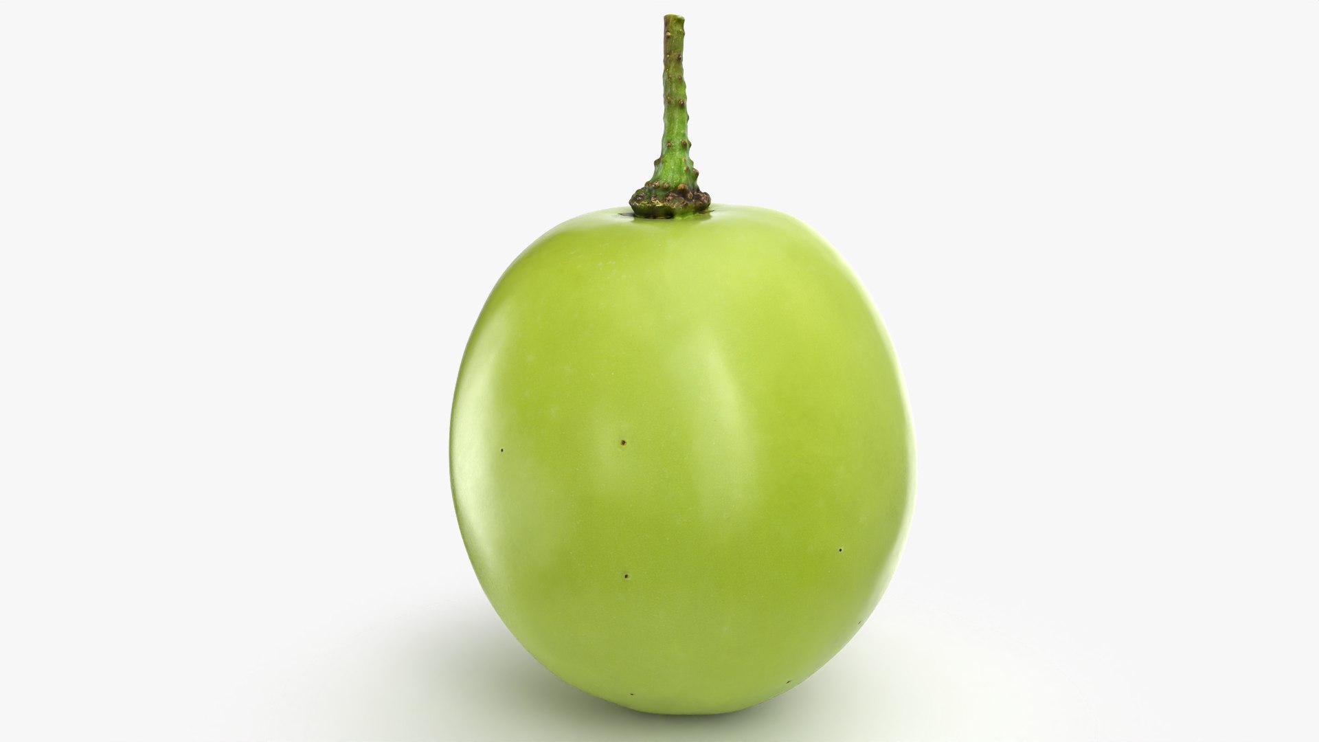 Green Grape 02 - 3D Scanned model https://p.turbosquid.com/ts-thumb/vh/kud91p/et/grapegreen02_0006/png/1781682540/1920x1080/fit_q87/7d801079c38d650ab071ca5c7f3bc69bf9757db1/grapegreen02_0006.jpg