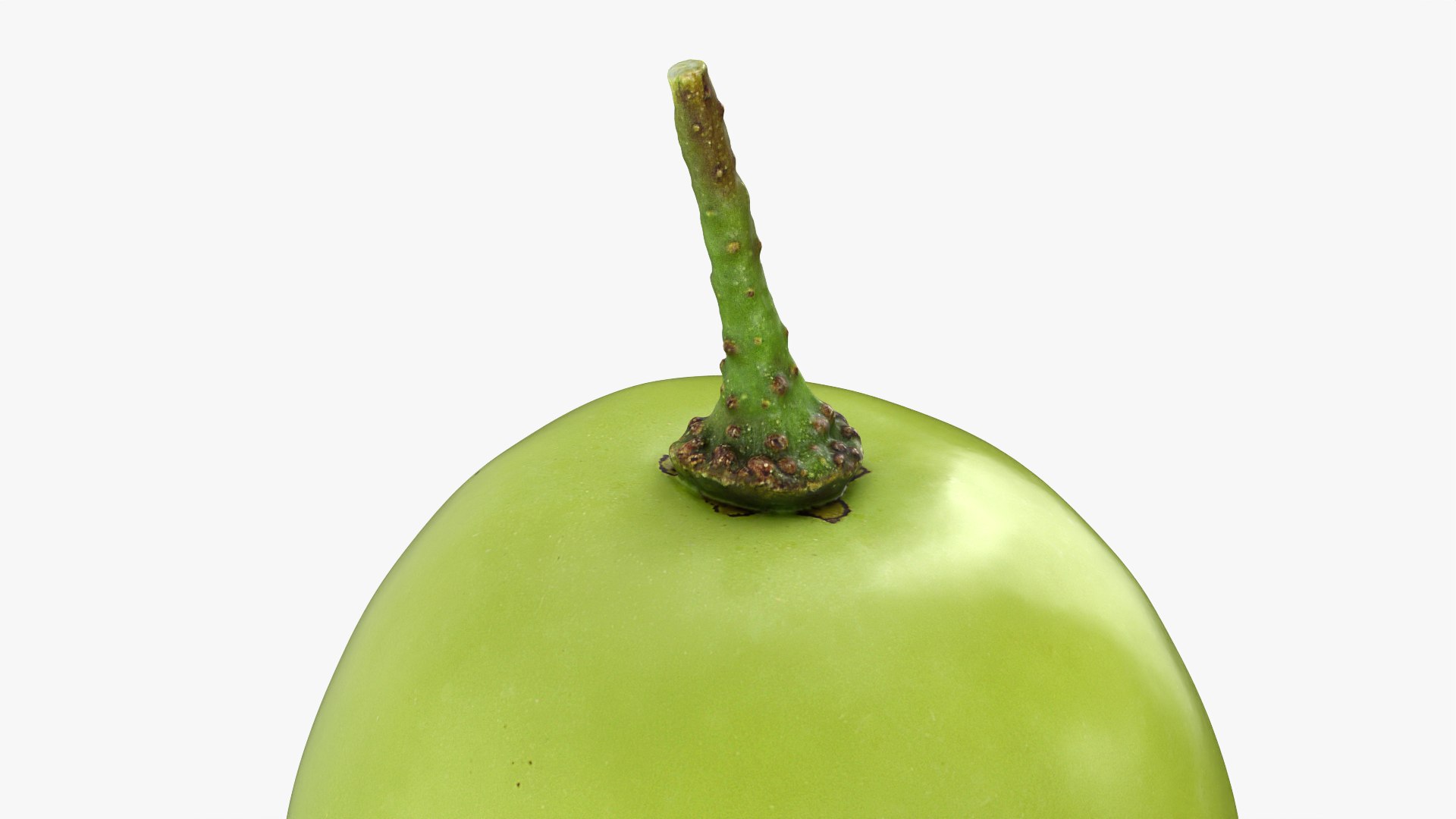 Green Grape 02 - 3D Scanned model https://p.turbosquid.com/ts-thumb/vh/kud91p/pU/grapegreen02_0008/png/1781682547/1920x1080/fit_q87/3484402ece602e42ae638b44a7aae12b1d0c6391/grapegreen02_0008.jpg