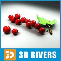 Red currant by 3DRivers