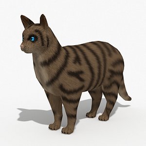 Cat Tabby Striped Brown Low Poly model