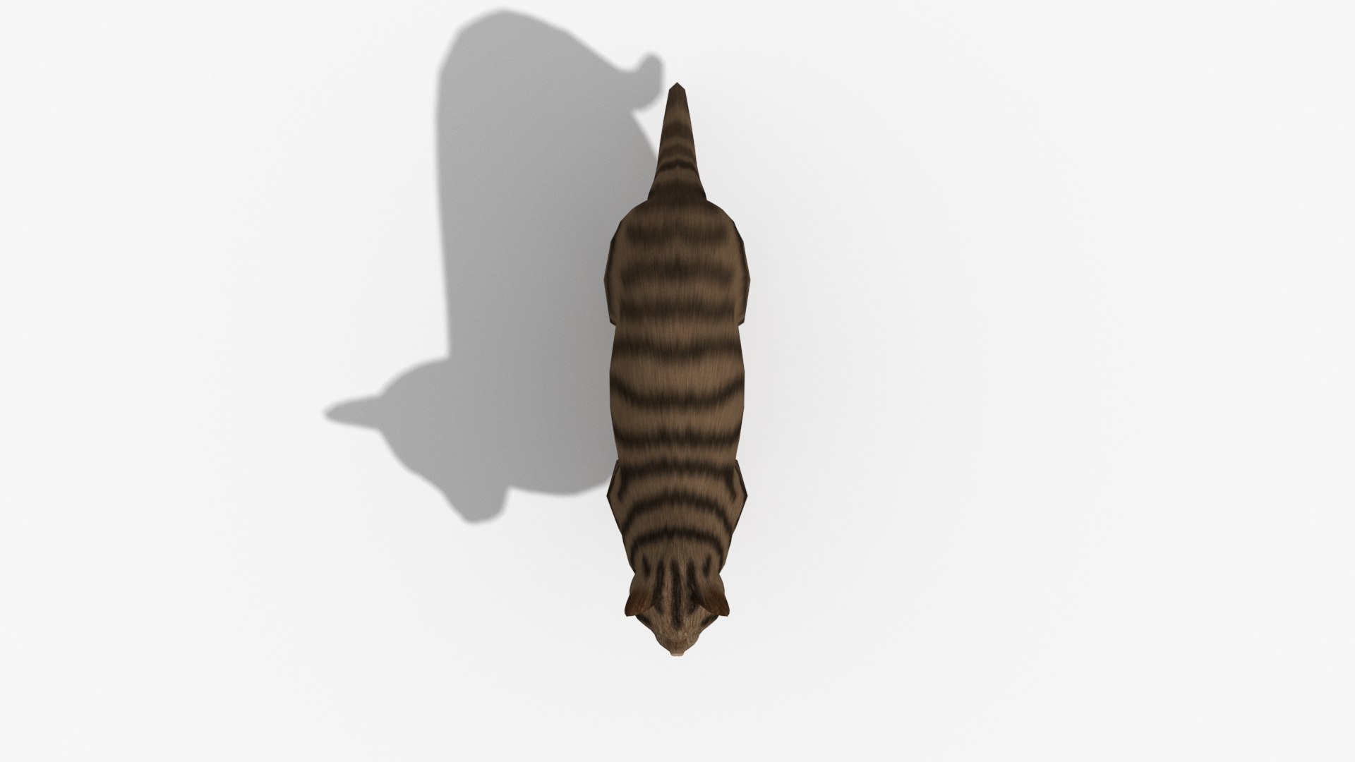 Cat Tabby Striped Brown Low Poly Model - TurboSquid 1984524