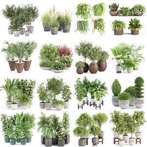 Plants collection 3D model