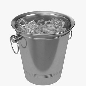3D ice bucket model