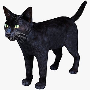 Cat Female Black 3D model