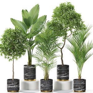 Plants collection 618 3D