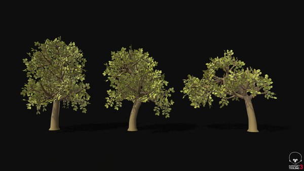 3D Low-Poly Stylized Trees - TurboSquid 1888561