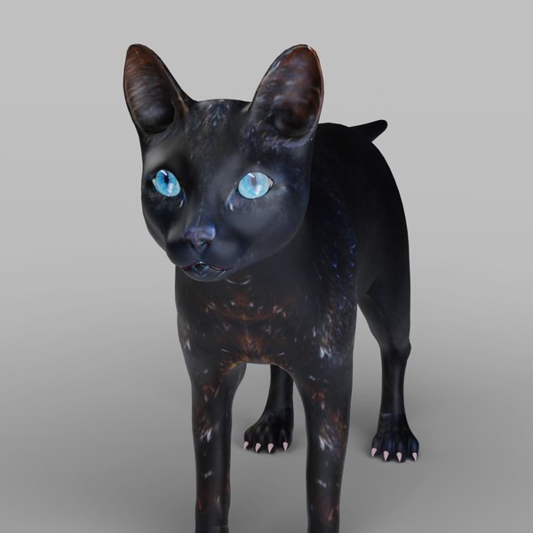 Cat Black NO Rigged in Blender 3D
