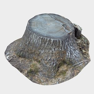 tree stump 3D model