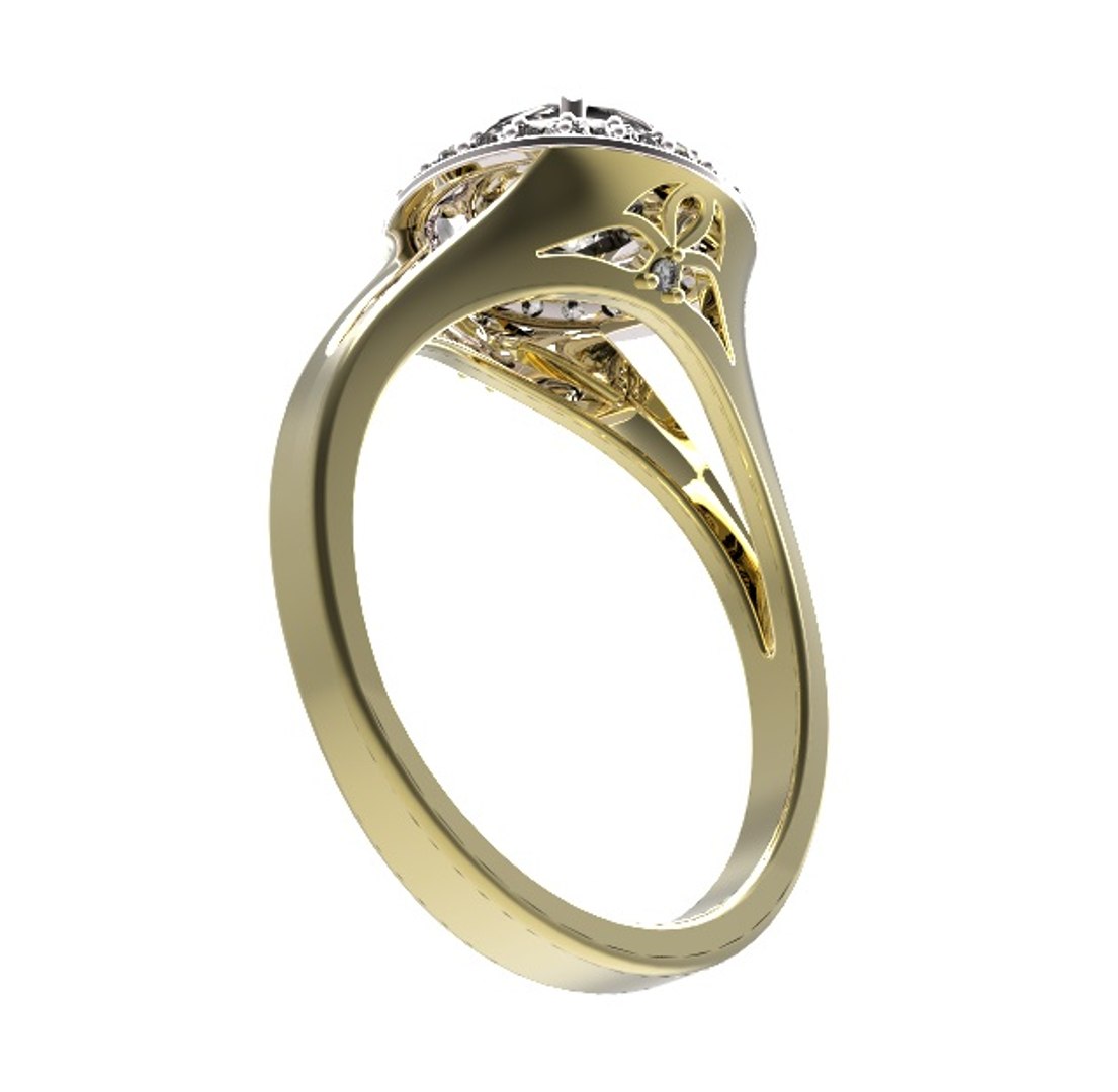 3d Ring Model