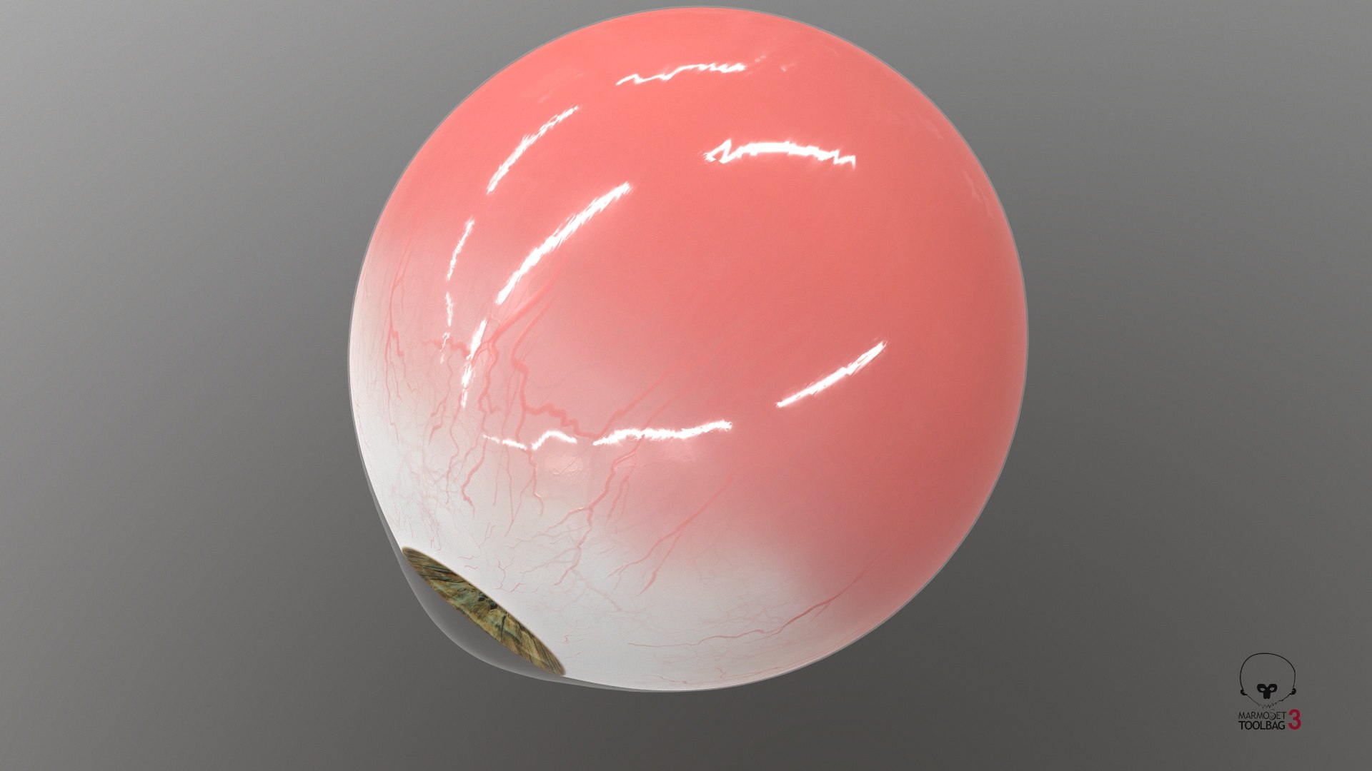 3D Realistic Human Eye V01 https://p.turbosquid.com/ts-thumb/vi/QN2XVR/0M/screenshot005/jpg/1736532730/1920x1080/fit_q87/5fceeeb6bd257171337febde86dbd7a3b9907512/screenshot005.jpg