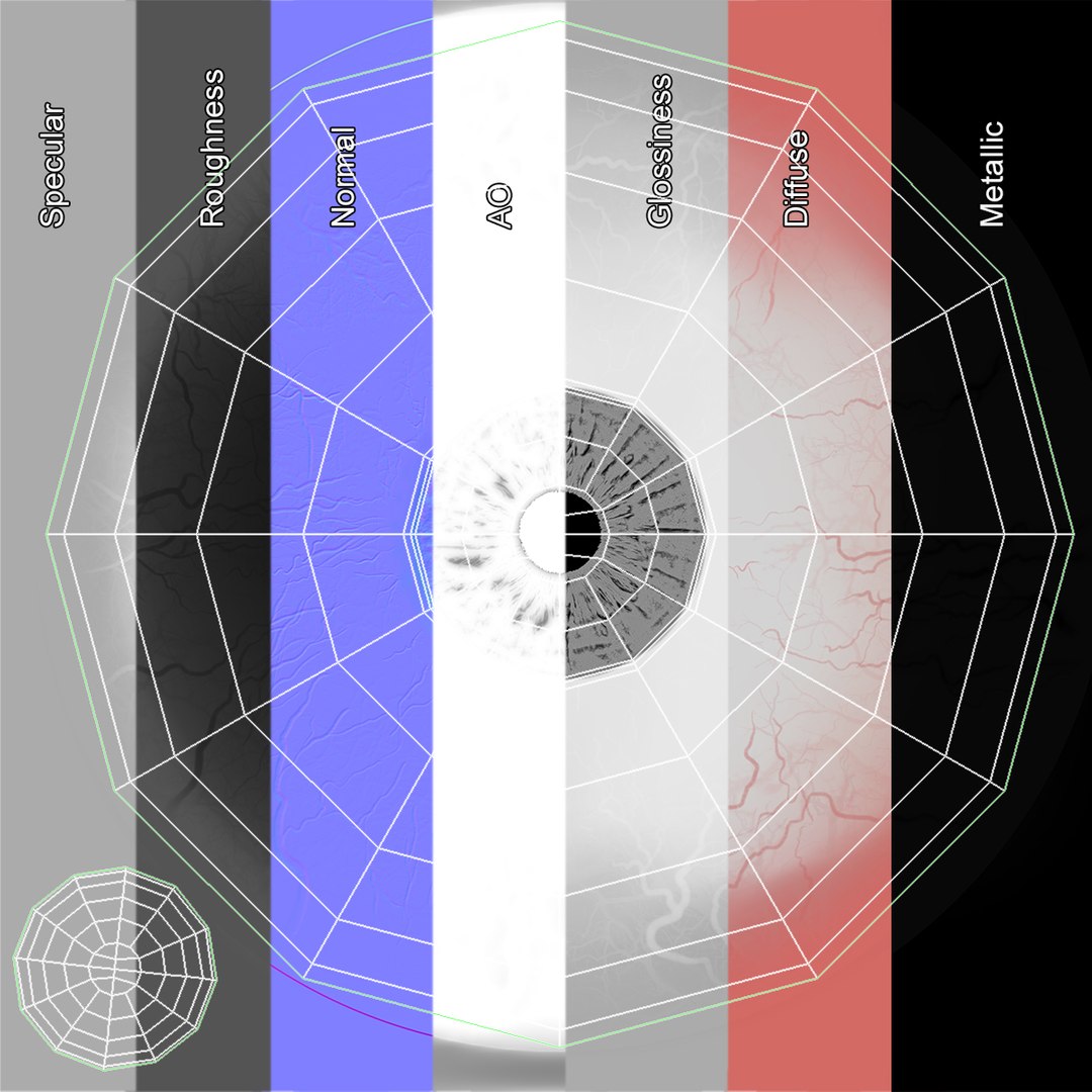 3D Realistic Human Eye V01 https://p.turbosquid.com/ts-thumb/vi/QN2XVR/B1/eyeballuv/jpg/1736535262/1920x1080/fit_q87/46dde300ead4cd07d4a57c49958e1c61947da310/eyeballuv.jpg