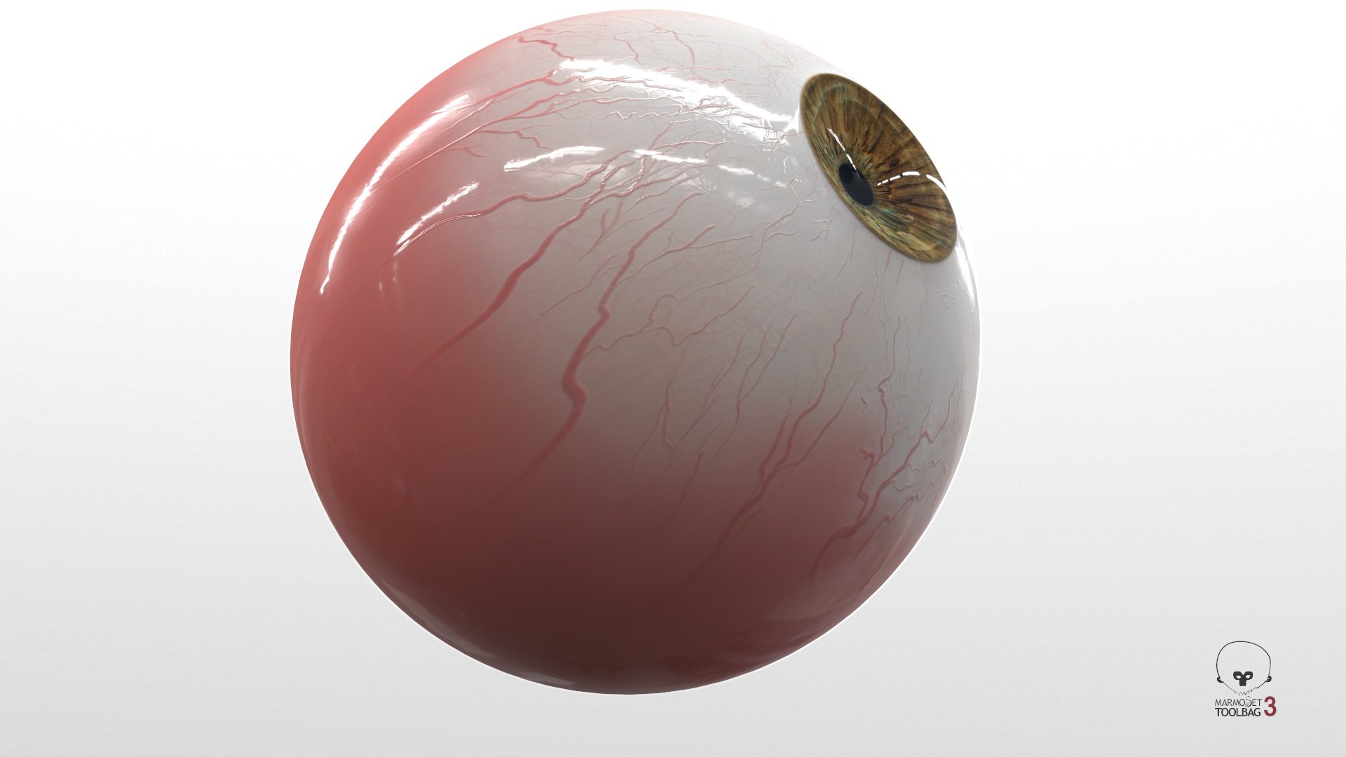 3D Realistic Human Eye V01 https://p.turbosquid.com/ts-thumb/vi/QN2XVR/CL/screenshot003/jpg/1736532728/1920x1080/fit_q87/6f12d7c48c1810225fa60093d5e10edfa6434745/screenshot003.jpg