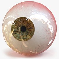 Realistic Human Eye V01