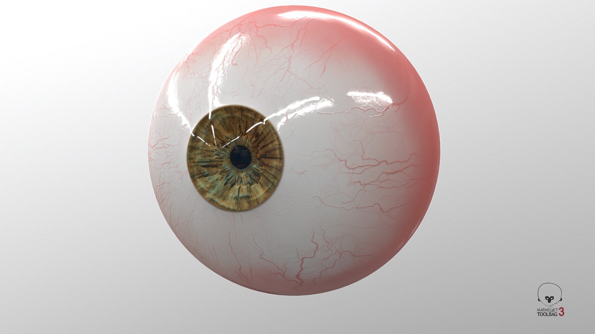 3D Realistic Human Eye V01 https://p.turbosquid.com/ts-thumb/vi/QN2XVR/MP/screenshot000/jpg/1736532726/1920x1080/fit_q87/cb95bf759b15bc34d56b9270f36bed1ecafe18dd/screenshot000.jpg