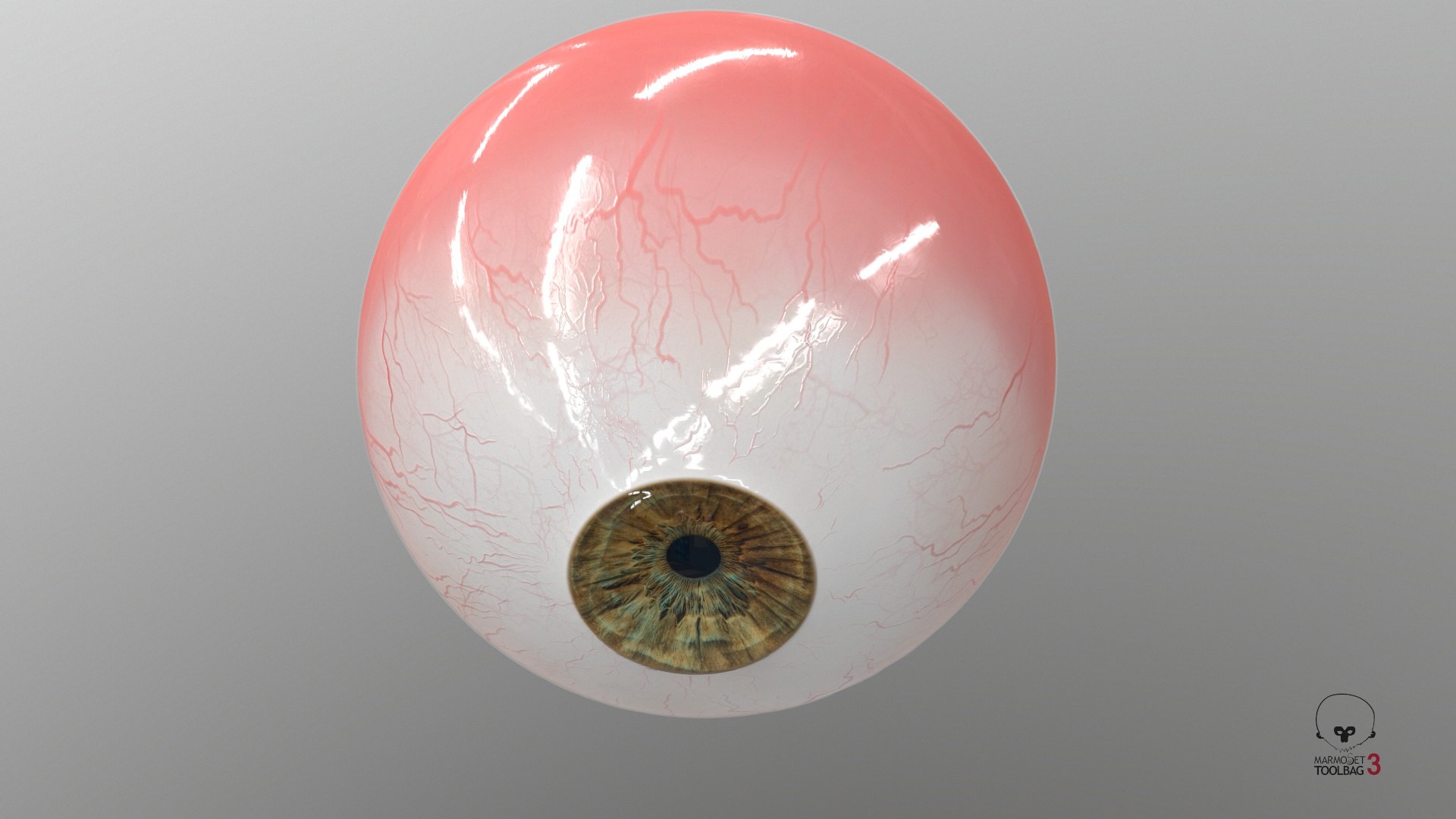 3D Realistic Human Eye V01 https://p.turbosquid.com/ts-thumb/vi/QN2XVR/QO/screenshot004/jpg/1736532728/1920x1080/fit_q87/6013f6e2ef76f3e932d011ca1f321e2acb8958fb/screenshot004.jpg