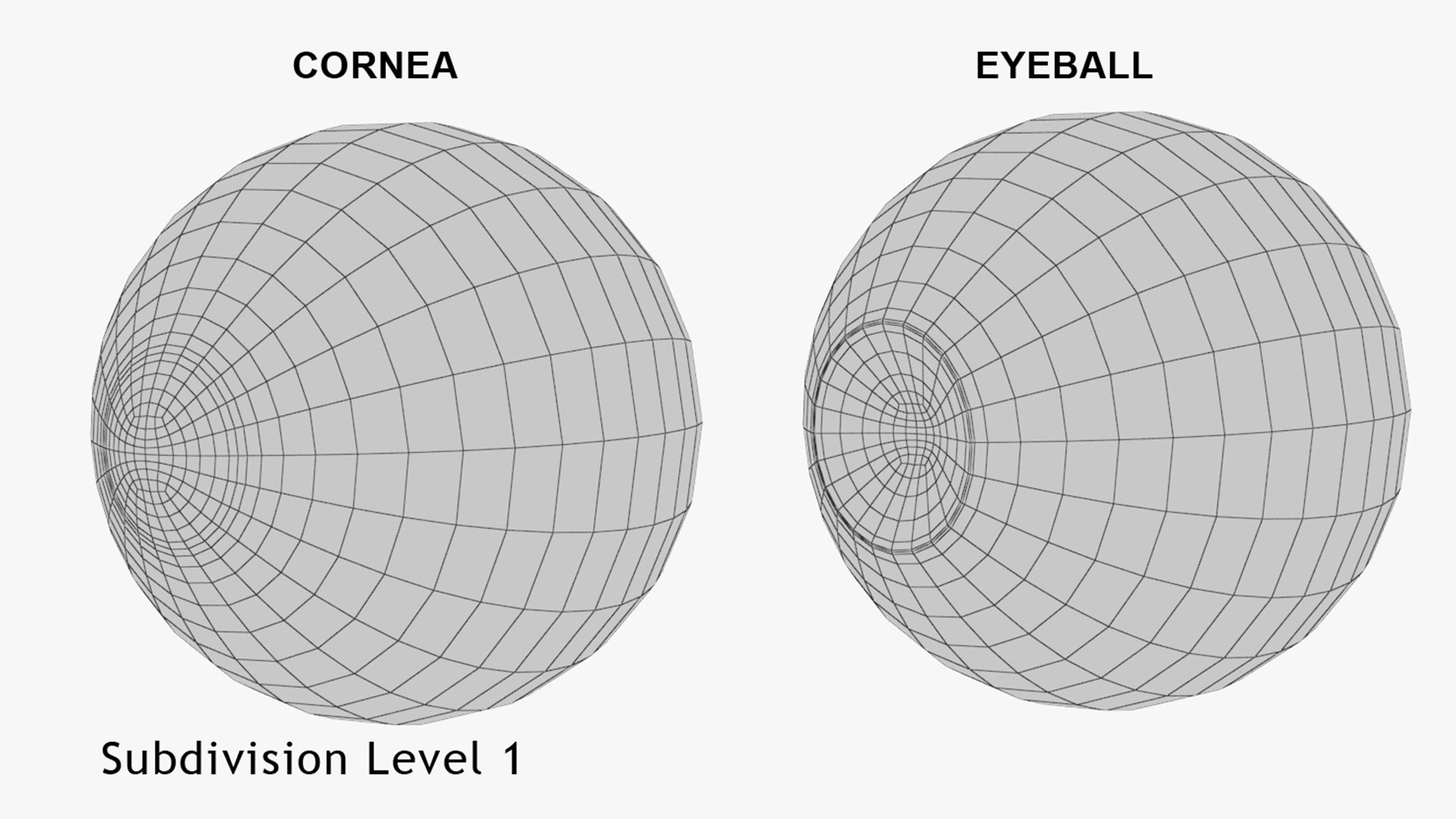 3D Realistic Human Eye V01 https://p.turbosquid.com/ts-thumb/vi/QN2XVR/Rx/wire1.1/jpg/1736532795/1920x1080/fit_q87/1a792572d895db9f802a8a66d74f3ede6c989699/wire1.1.jpg