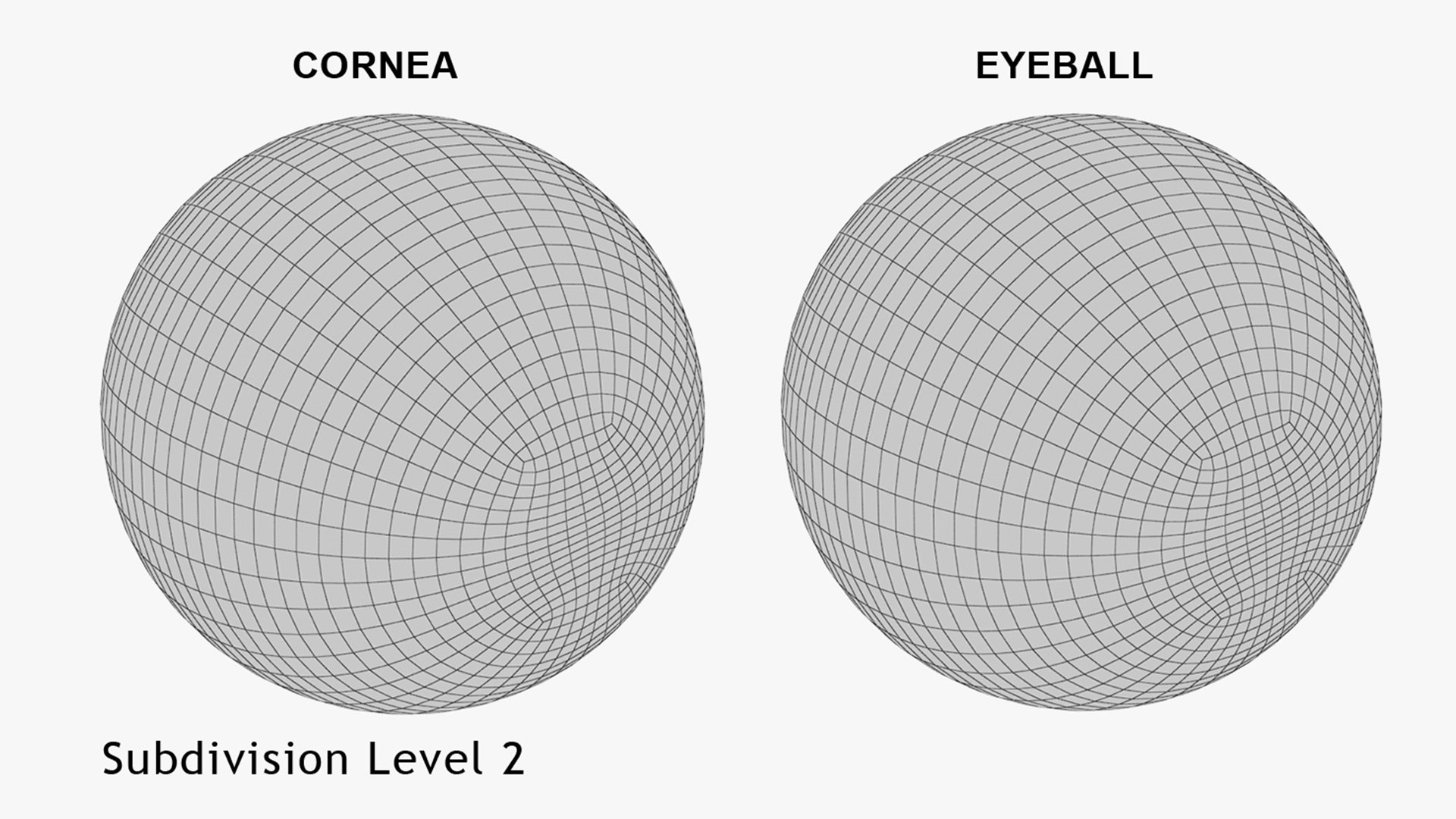 3D Realistic Human Eye V01 https://p.turbosquid.com/ts-thumb/vi/QN2XVR/TU/wire2.2/jpg/1736532802/1920x1080/fit_q87/3aaf72bec388a3295c6c4aaf19b5b247057d1501/wire2.2.jpg