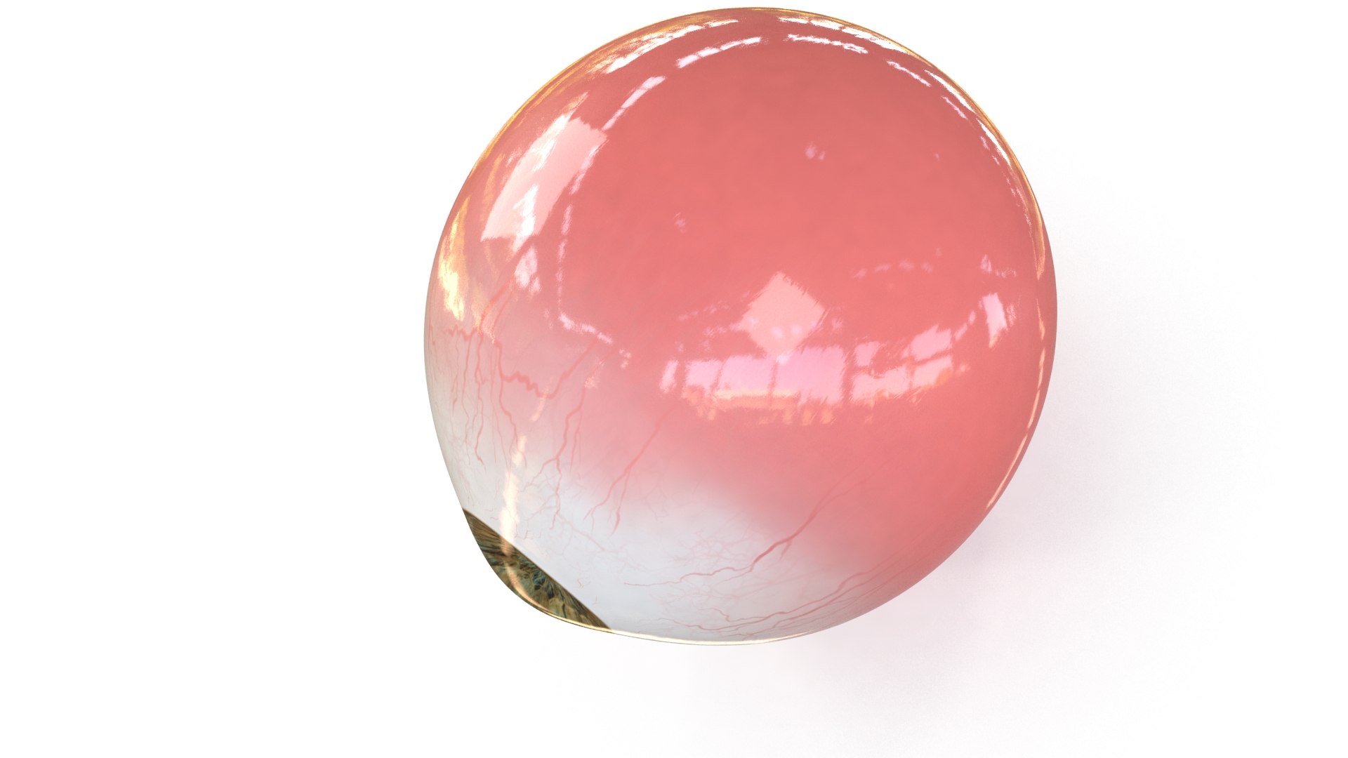 3D Realistic Human Eye V01 https://p.turbosquid.com/ts-thumb/vi/QN2XVR/Ys/human_eye_color0005/jpg/1736532369/1920x1080/fit_q87/6c10b2b40e67b58478a190309ac41e06d43adcbb/human_eye_color0005.jpg