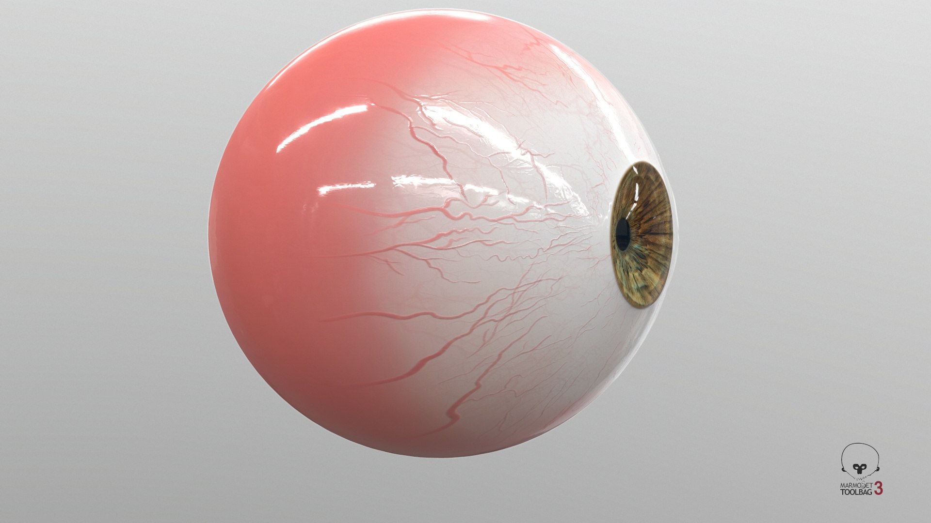 3D Realistic Human Eye V01 https://p.turbosquid.com/ts-thumb/vi/QN2XVR/xu/screenshot001/jpg/1736532728/1920x1080/fit_q87/daeafd44ac1e14082bc37de27f1d2b1bf9159db1/screenshot001.jpg