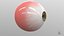 Realistic Human Eye V01