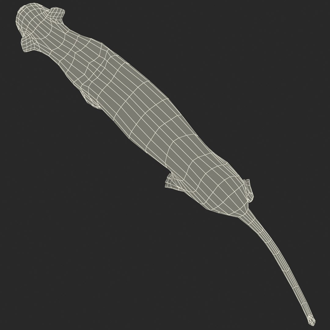 cheetah 2 pose 1 max https://p.turbosquid.com/ts-thumb/vi/Rzi9ql/2IRqIFKM/cheetah2pose1_10/jpg/1410967336/1920x1080/fit_q87/ca4b761d2976833d78e3a9fd4102266d5debbcc3/cheetah2pose1_10.jpg