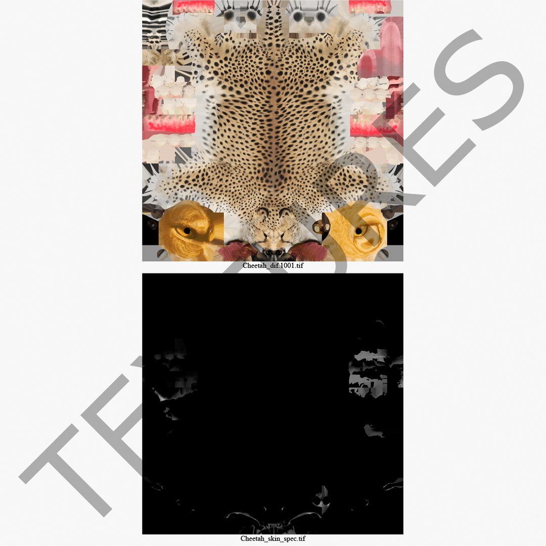 cheetah 2 pose 1 max https://p.turbosquid.com/ts-thumb/vi/Rzi9ql/JX8Sa2vT/cheetah2pose1_6/jpg/1410967328/1920x1080/fit_q87/26d8a968714a67af81ec53f1a2fd1a14cca79e2d/cheetah2pose1_6.jpg