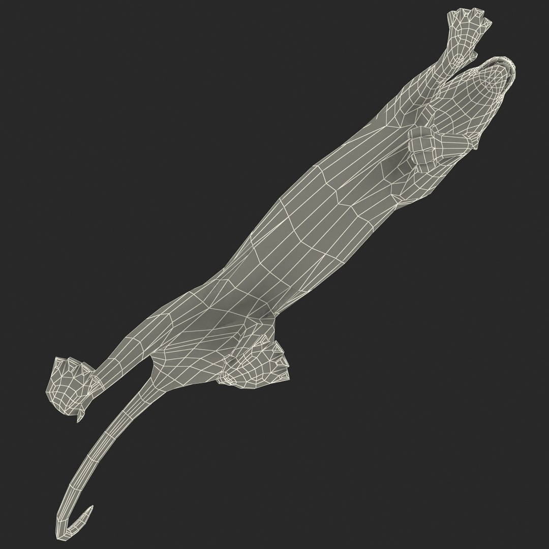 cheetah 2 pose 1 max https://p.turbosquid.com/ts-thumb/vi/Rzi9ql/LoLZhXkY/cheetah2pose1_12/jpg/1410967301/1920x1080/fit_q87/4dc40f32f4599b5b819c8e40d146025c730368a7/cheetah2pose1_12.jpg