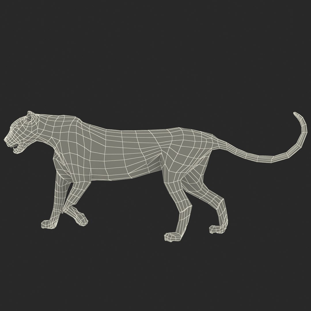 cheetah 2 pose 1 max https://p.turbosquid.com/ts-thumb/vi/Rzi9ql/OTeEWulv/cheetah2pose1_5/jpg/1410967331/1920x1080/fit_q87/eefc06cf76c93585dcb30b0cc573b46a247a26ab/cheetah2pose1_5.jpg