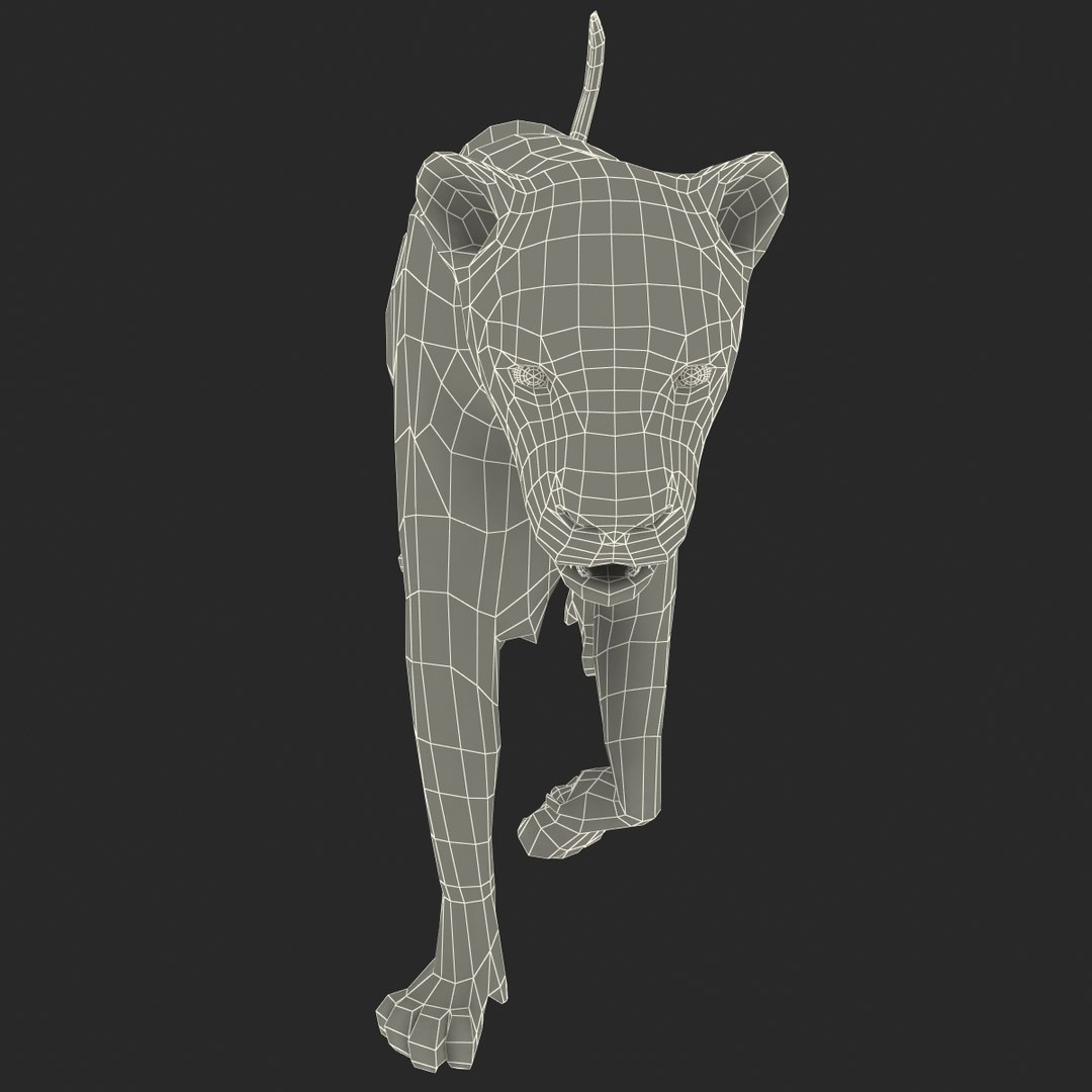 cheetah 2 pose 1 max https://p.turbosquid.com/ts-thumb/vi/Rzi9ql/Rp3AvkrW/cheetah2pose1_3/jpg/1410967322/1920x1080/fit_q87/40a92ef43de1199644fc627112fb4000a4e4b88b/cheetah2pose1_3.jpg