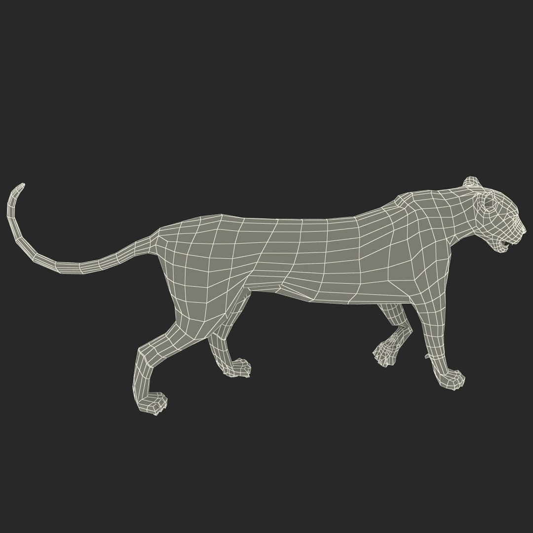 cheetah 2 pose 1 max https://p.turbosquid.com/ts-thumb/vi/Rzi9ql/adDjuMh7/cheetah2pose1_8/jpg/1410967331/1920x1080/fit_q87/3b8e3679069bb509901b9eb7d6d97358d5a0e674/cheetah2pose1_8.jpg