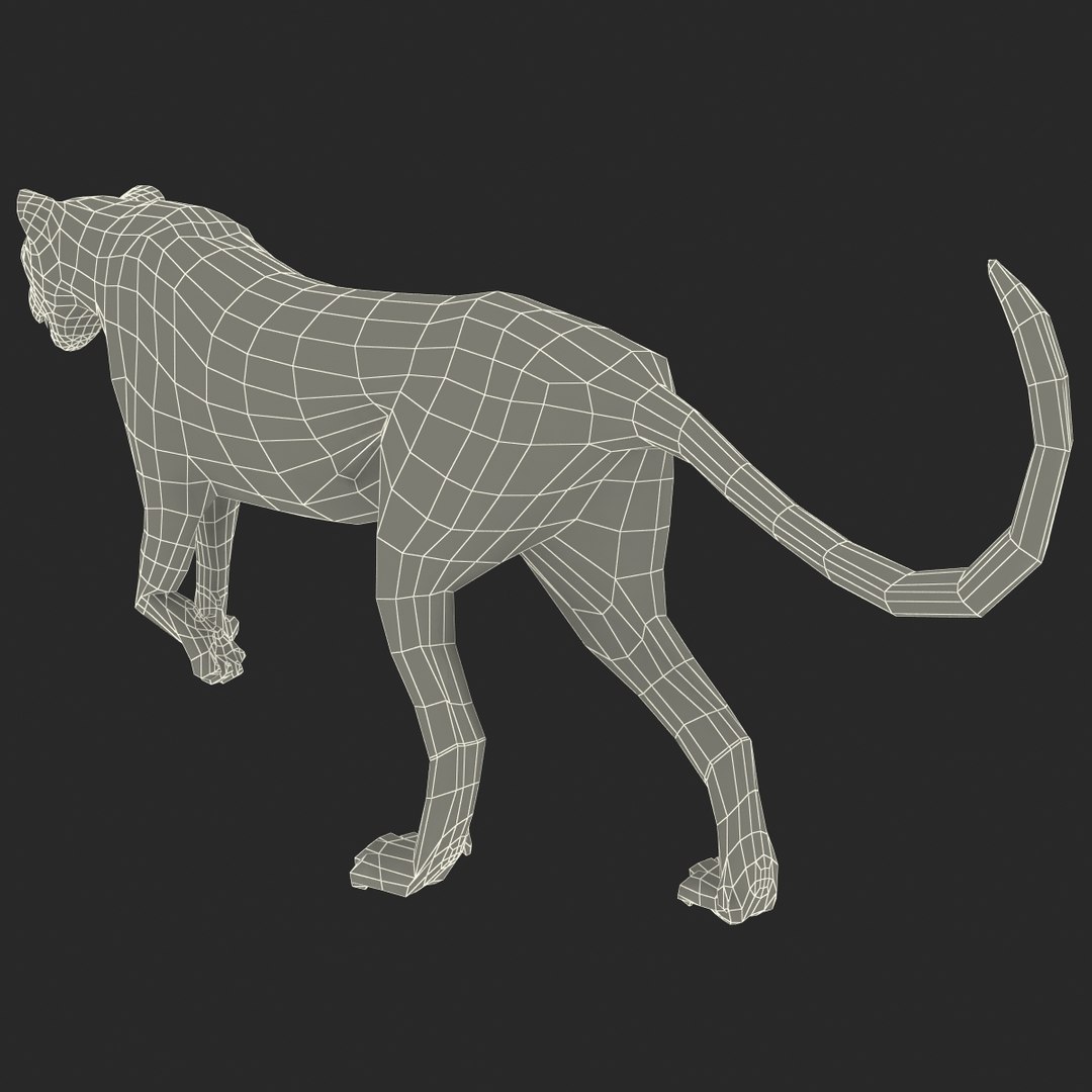 cheetah 2 pose 1 max https://p.turbosquid.com/ts-thumb/vi/Rzi9ql/dAQMcMU4/cheetah2pose1_18/jpg/1410967352/1920x1080/fit_q87/cbbe95f92dfdb6f786d40ed78572adf30ffaf2e0/cheetah2pose1_18.jpg