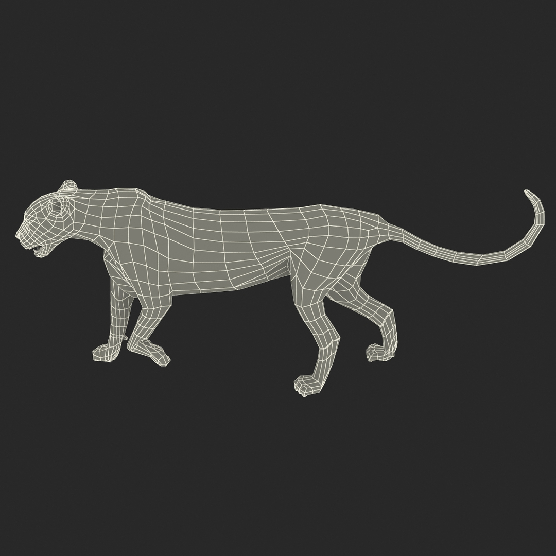 cheetah 2 pose 1 max https://p.turbosquid.com/ts-thumb/vi/Rzi9ql/kmqXM7Px/turntablefile_361/jpg/1410967404/1920x1080/turn_fit_q99/f0e5756dcc15805490d9734c506440ca279220ea/turntablefile_361-1.jpg