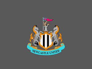 NewCastle United  FC 3d Logo or Badge