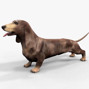 3D Dachshund Rigged L1865