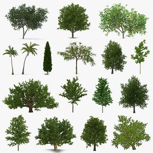 Summer Trees Collection 5