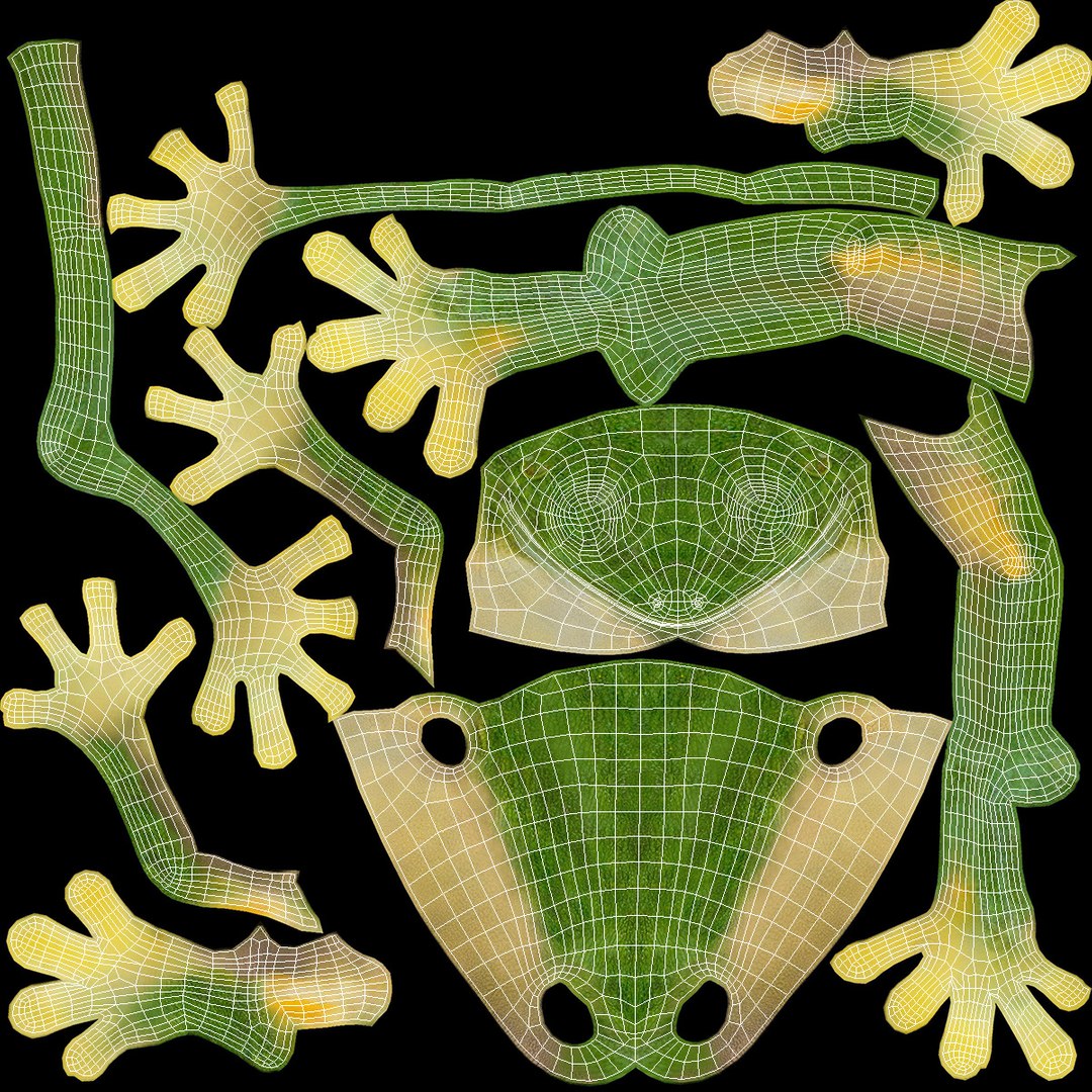 3D Realistic Tree Frog https://p.turbosquid.com/ts-thumb/vi/yM4jE7/Hr/realistic_tree_frog_017/jpg/1743251126/1920x1080/fit_q87/e4e94d8c486e2b4a34f1d0b573501281851bfe8f/realistic_tree_frog_017.jpg