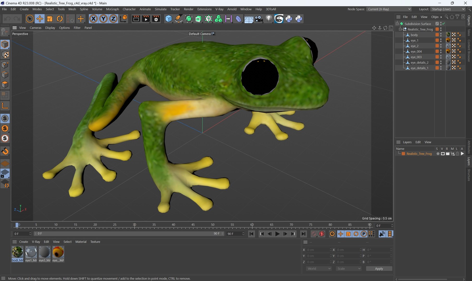 3D Realistic Tree Frog https://p.turbosquid.com/ts-thumb/vi/yM4jE7/c6/realistic_tree_frog_1003/jpg/1743251150/1920x1080/fit_q87/76eaebc597de99ef03a6b834d1c81522a49e2e46/realistic_tree_frog_1003.jpg