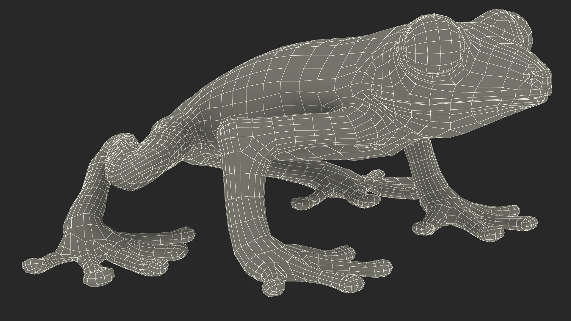 3D Realistic Tree Frog https://p.turbosquid.com/ts-thumb/vi/yM4jE7/nb/realistic_tree_frog_020/jpg/1743251135/1920x1080/fit_q87/e36c551d8f4e2d48b983d06aaaf7c87f31cd9366/realistic_tree_frog_020.jpg