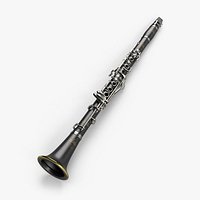 Buffet Crampon R13 Clarinet
