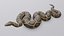 Animated Burmese Python