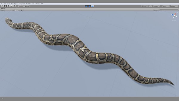 Burmese python animation 3D model - TurboSquid 1264730