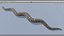 Animated Burmese Python