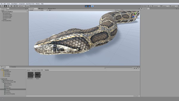 Burmese python animation 3D model - TurboSquid 1264730