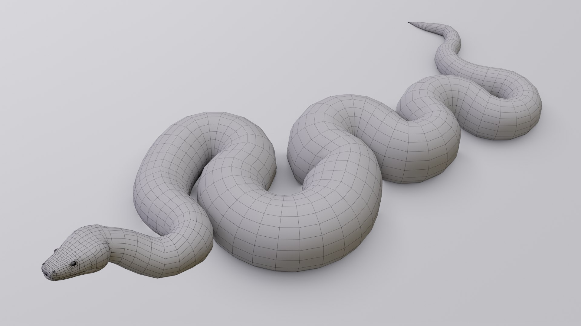 Burmese python animation 3D model - TurboSquid 1264730