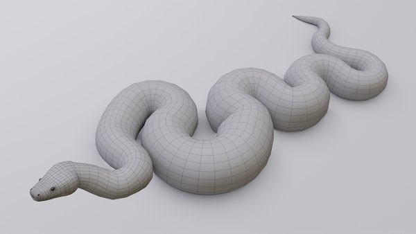 Burmese python animation 3D model - TurboSquid 1264730