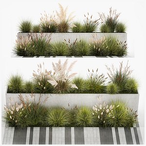 3D Bushes For Landscaping With Pampas Grass 1169